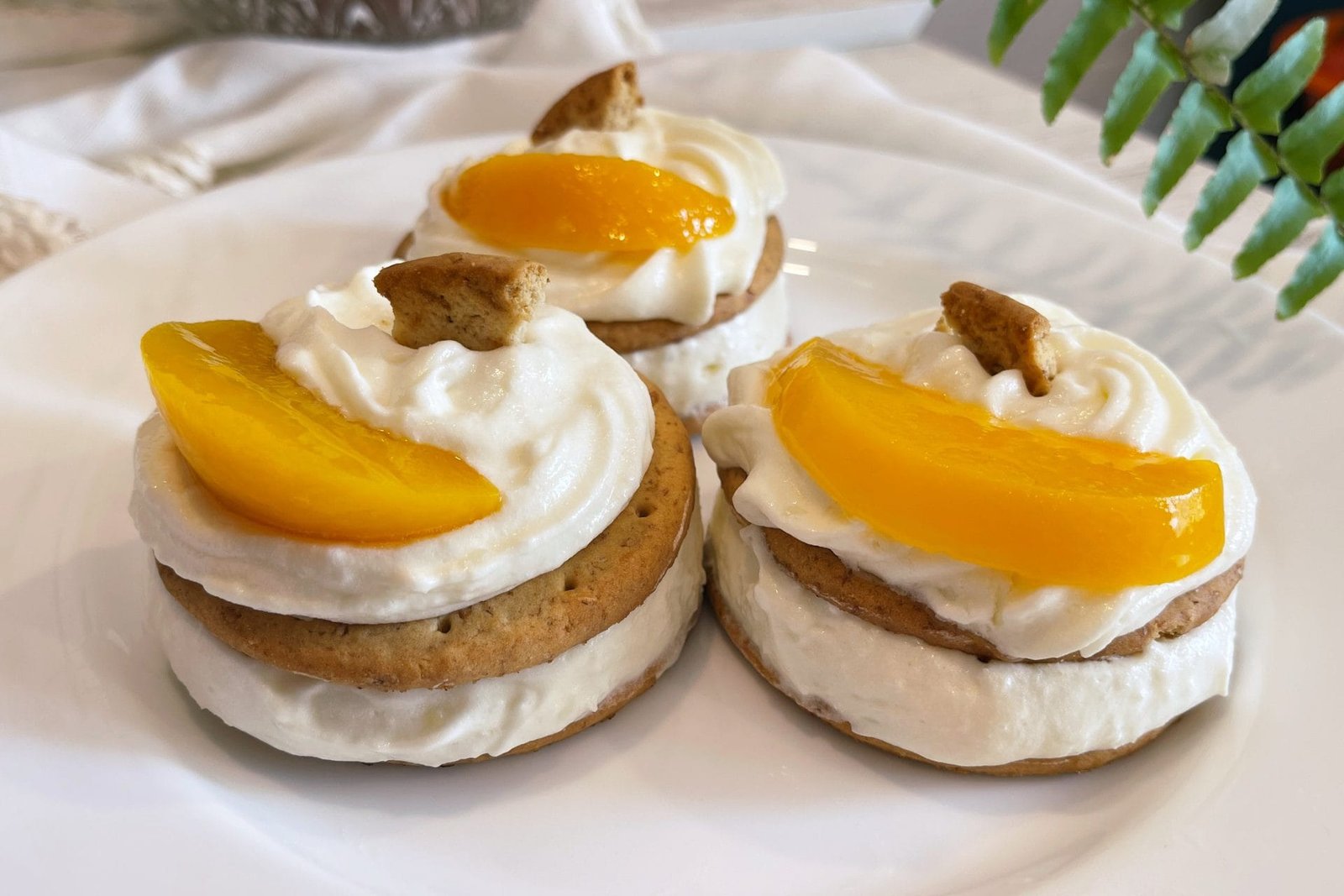 Smash the cookie -Delicious creamy coconut dessert ready in 15 minutes