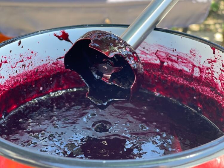 pregatire topping pentru Cheesecake cu afine (fara coacere) photo 1