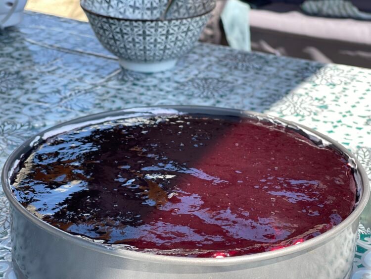 montare Cheesecake cu afine (fara coacere) photo 1