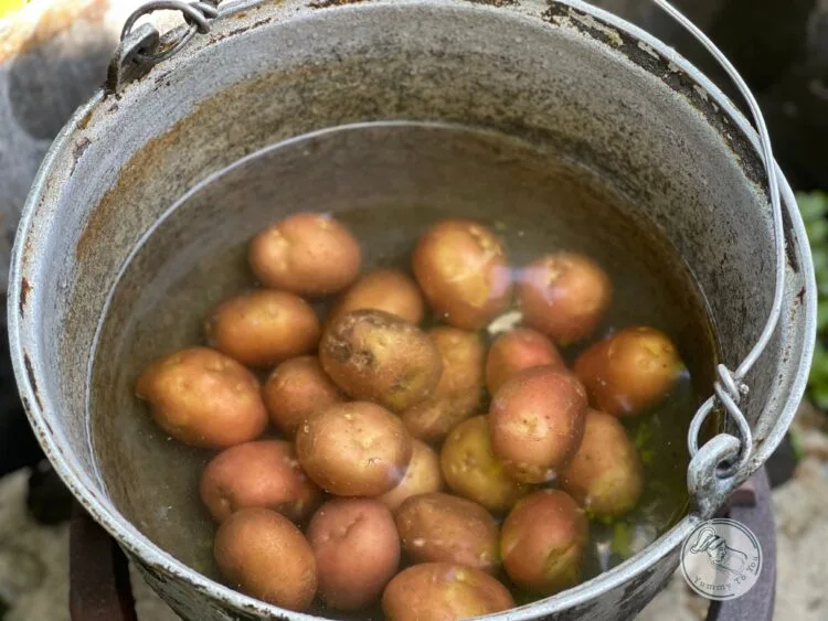 cartofi pentru Gomboți (găluște) cu prune