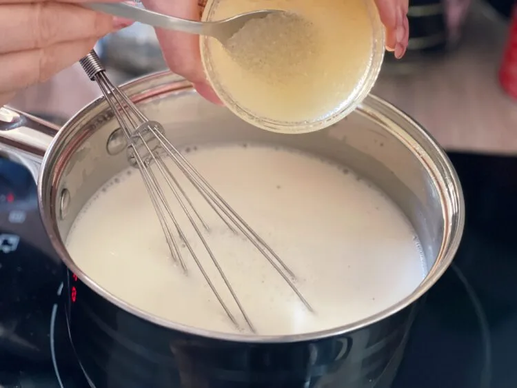 adaugare gelatina in supa