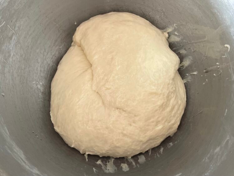 aluat painici inainte de dospire aluat painici inainte de dospire