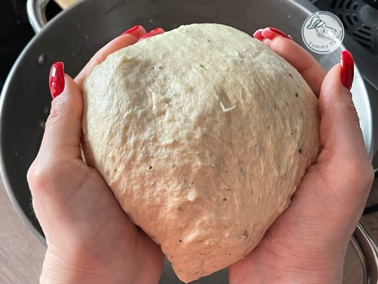 aluat inainte de dospire