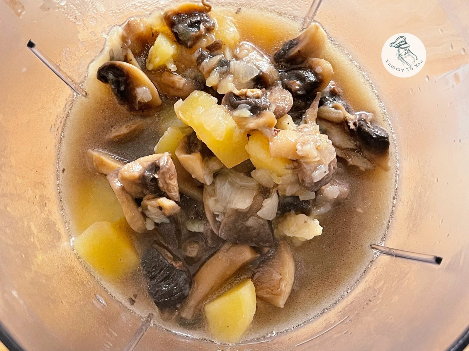 blenduire ingrediente supa blenduire ingrediente supa