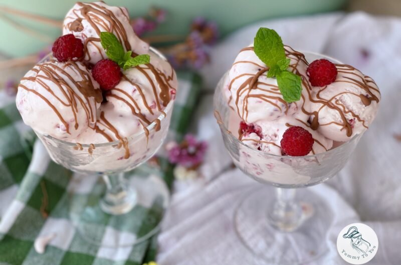 Homemade Raspberry Yogurt Ice Cream