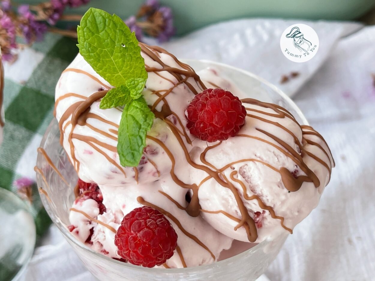 Homemade Raspberry Yogurt Ice Cream – A Creamy and Easy Recipe