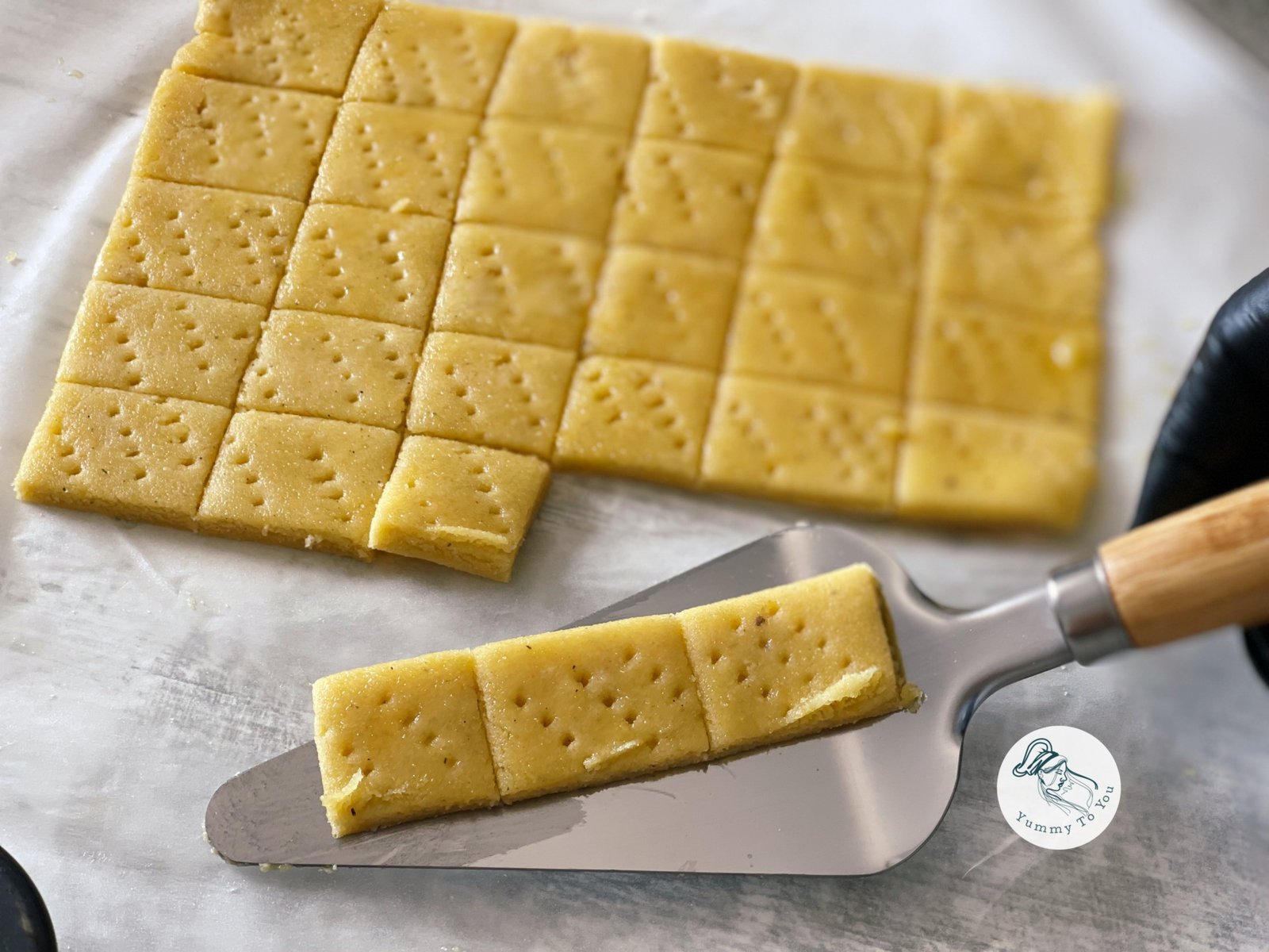 formare biscuiti sarati cu bere 2